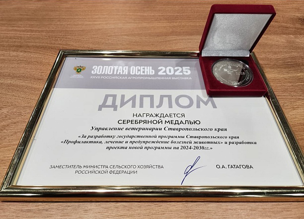 Медаль 2.jpg